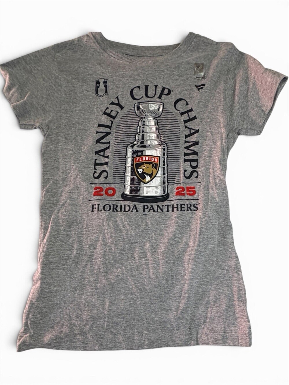 Florida Panthers Stanley Cup Champs 2025 NHL Gray T-Shirt, XL
